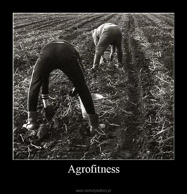 Agrofitness –   