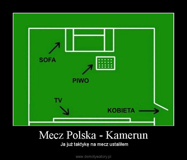 Mecz Polska - Kamerun