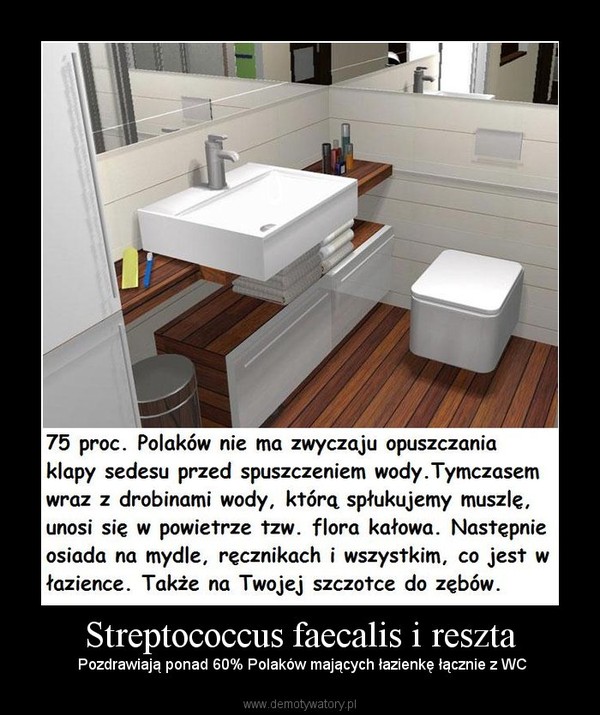 Streptococcus faecalis i reszta –  Pozdrawiają ponad 60% Polaków mających łazienkę łącznie z WC 