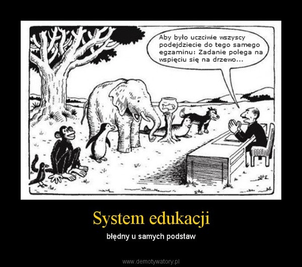 System edukacji – błędny u samych podstaw 