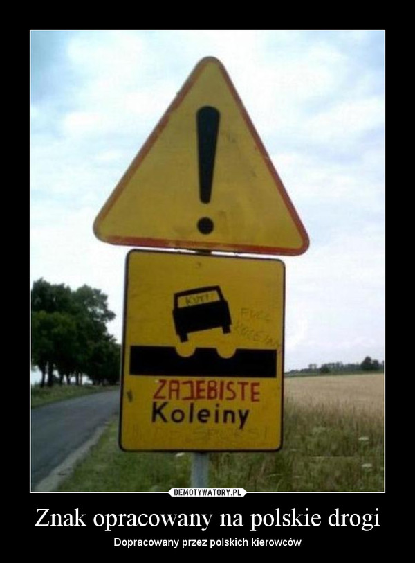 Znak opracowany na polskie drogi – Dopracowany przez polskich kierowców 