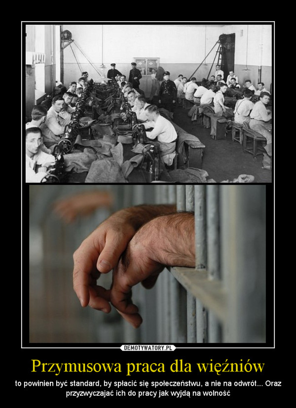 Przymusowa praca dla więźniów – to powinien być standard, by spłacić się społeczeństwu, a nie na odwrót... Oraz przyzwyczajać ich do pracy jak wyjdą na wolność 