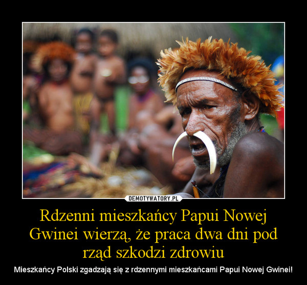 Rdzenni mieszkańcy Papui Nowej Gwinei wierzą, że praca dwa dni pod rząd szkodzi zdrowiu – Mieszkańcy Polski zgadzają się z rdzennymi mieszkańcami Papui Nowej Gwinei! 
