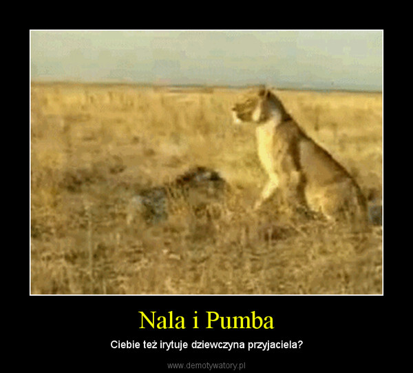 Nala i Pumba – Ciebie też irytuje dziewczyna przyjaciela? 