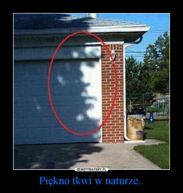Piękno tkwi w naturze.. –  