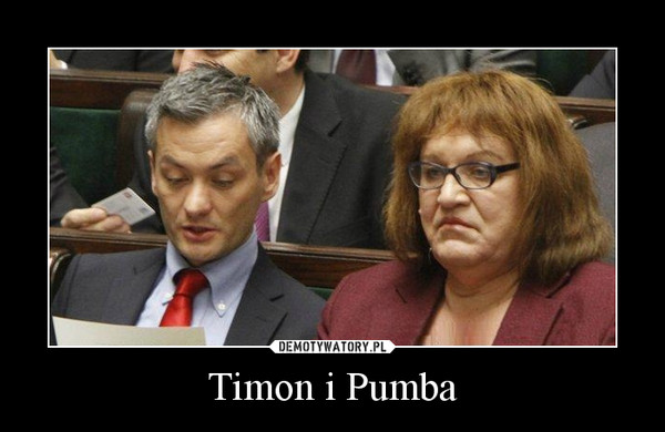Timon i Pumba –  