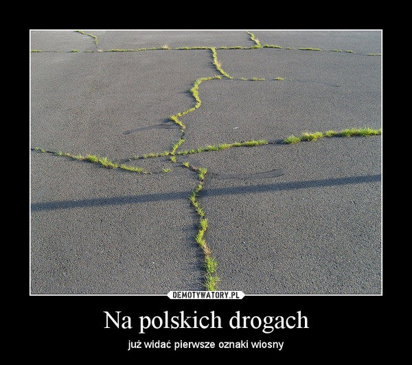 Na polskich drogach – już widać pierwsze oznaki wiosny 