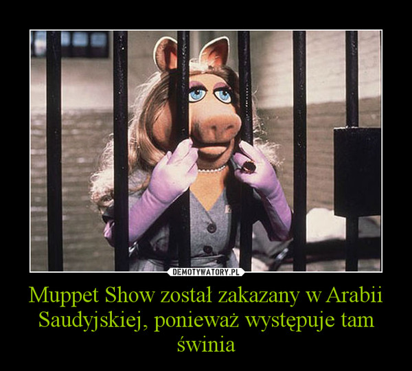 Muppet Show został zakazany w Arabii Saudyjskiej, ponieważ występuje tam świnia –  
