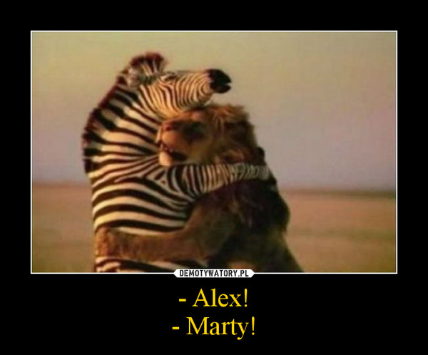 - Alex!- Marty! –  