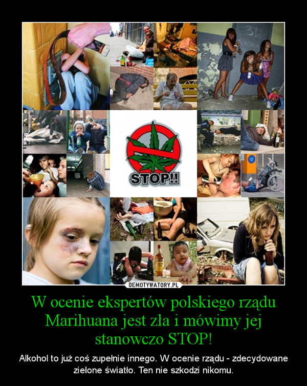 W ocenie ekspertów polskiego rządu Marihuana jest zła i mówimy jej stanowczo STOP! – Alkohol to już coś zupełnie innego. W ocenie rządu - zdecydowane zielone światło. Ten nie szkodzi nikomu. 