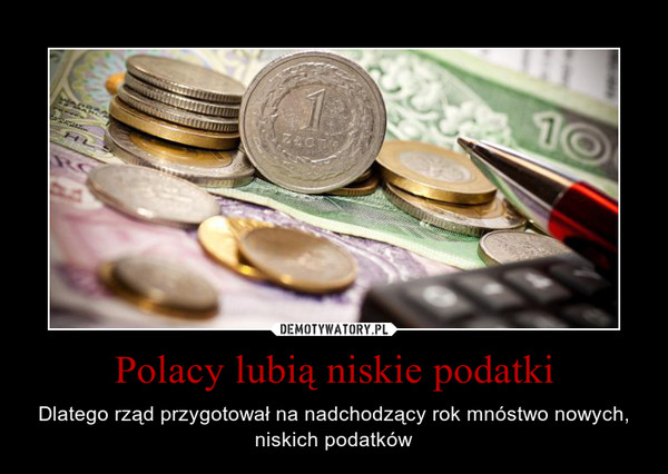 Polacy lubią niskie podatki – Dlatego rząd przygotował na nadchodzący rok mnóstwo nowych, niskich podatków 