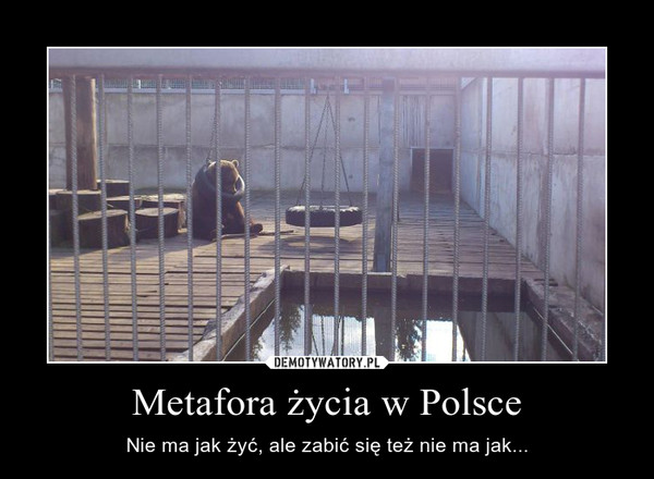 Metafora życia w Polsce – Nie ma jak żyć, ale zabić się też nie ma jak... 