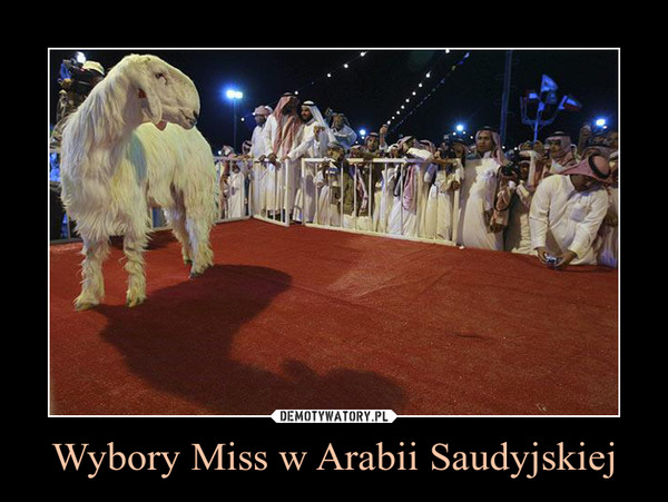 Wybory Miss w Arabii Saudyjskiej –  