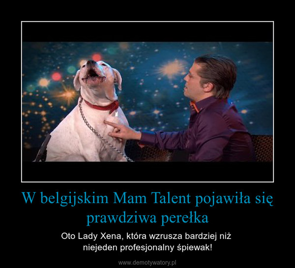 W belgijskim Mam Talent pojawiła się prawdziwa perełka – Oto Lady Xena, która wzrusza bardziej niż niejeden profesjonalny śpiewak! 