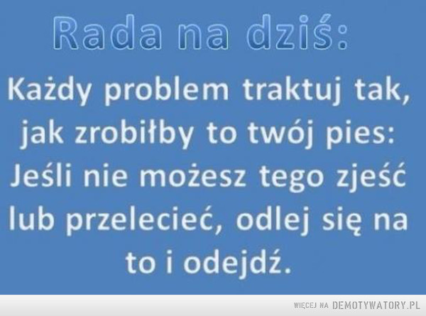 Dobra rada –  