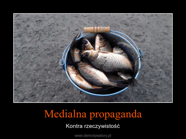 Medialna propaganda – Kontra rzeczywistość 