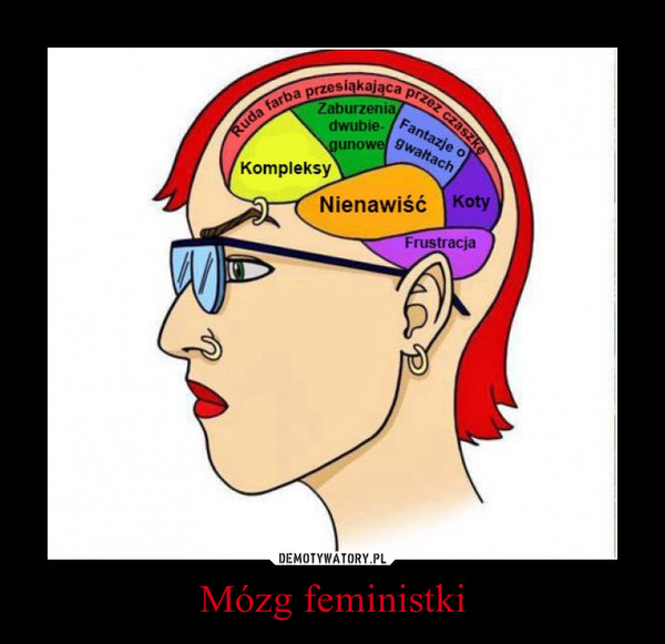 Mózg feministki –  