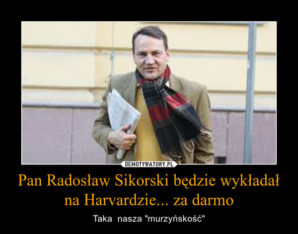 Pan Radosław Sikorski będzie wykładał na Harvardzie... za darmo – Taka  nasza "murzyńskość" 