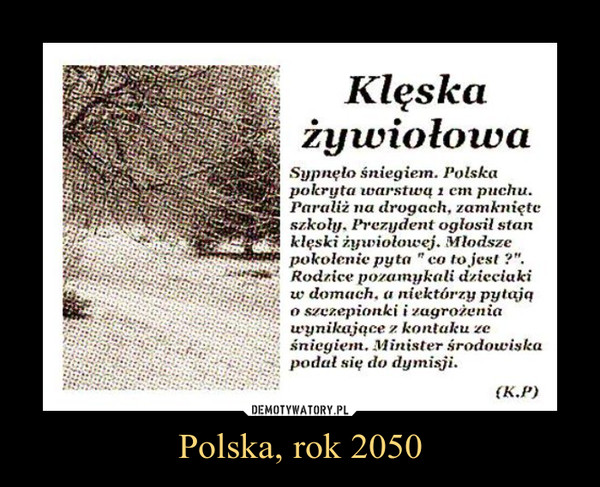 Polska, rok 2050 –  