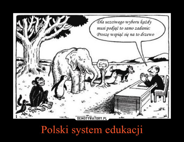 Polski system edukacji –  