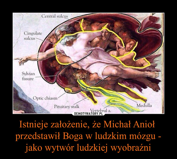 Istnieje założenie, że Michał Anioł  przedstawił Boga w ludzkim mózgu - jako wytwór ludzkiej wyobraźni