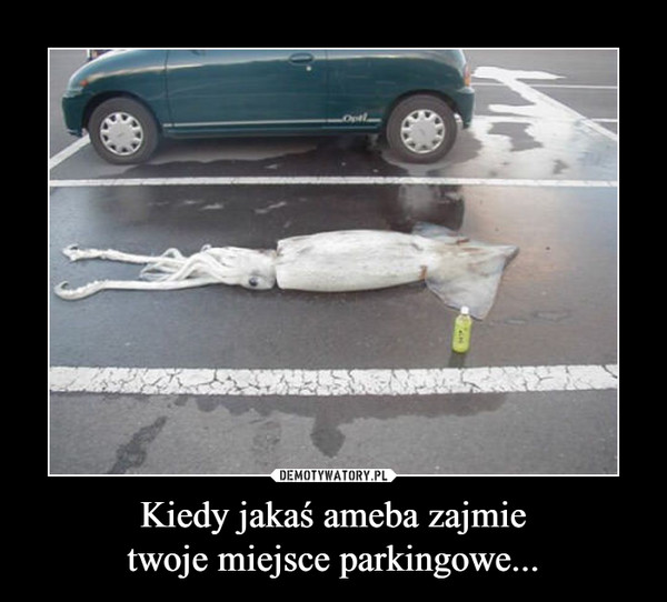 Kiedy jakaś ameba zajmie
twoje miejsce parkingowe...
