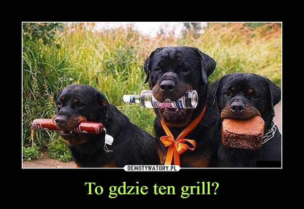 To gdzie ten grill? –  