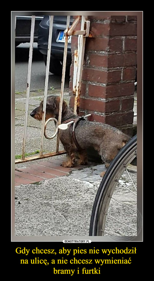 Gdy chcesz, aby pies nie wychodził na ulicę, a nie chcesz wymieniać bramy i furtki –  