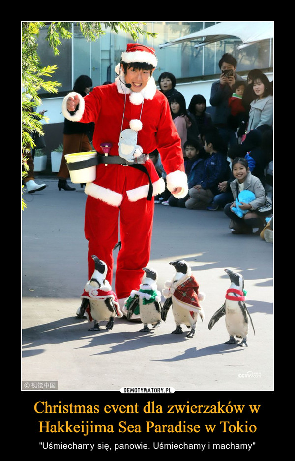 Christmas event dla zwierzaków w Hakkeijima Sea Paradise w Tokio
