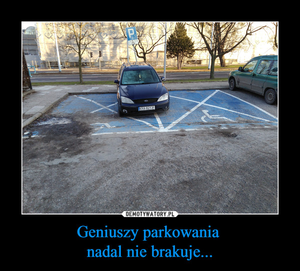 Geniuszy parkowania nadal nie brakuje... –  