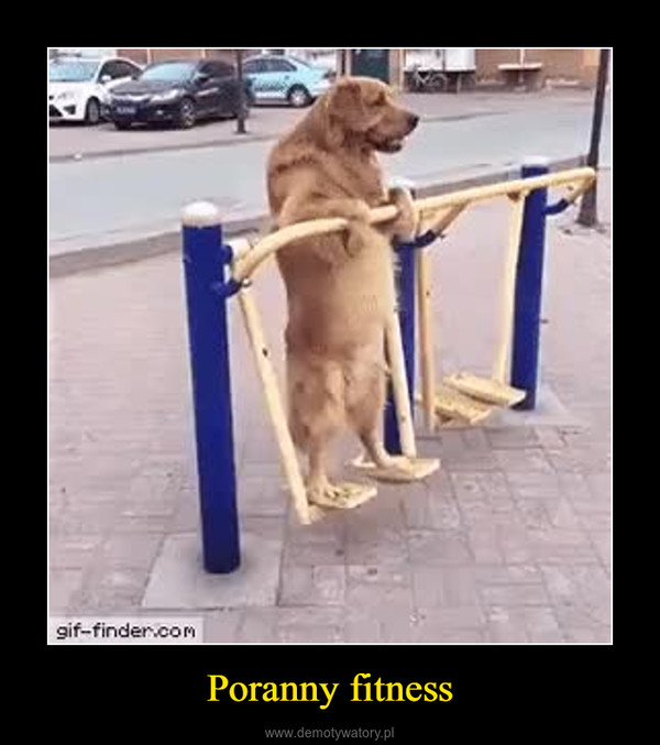 Poranny fitness –  