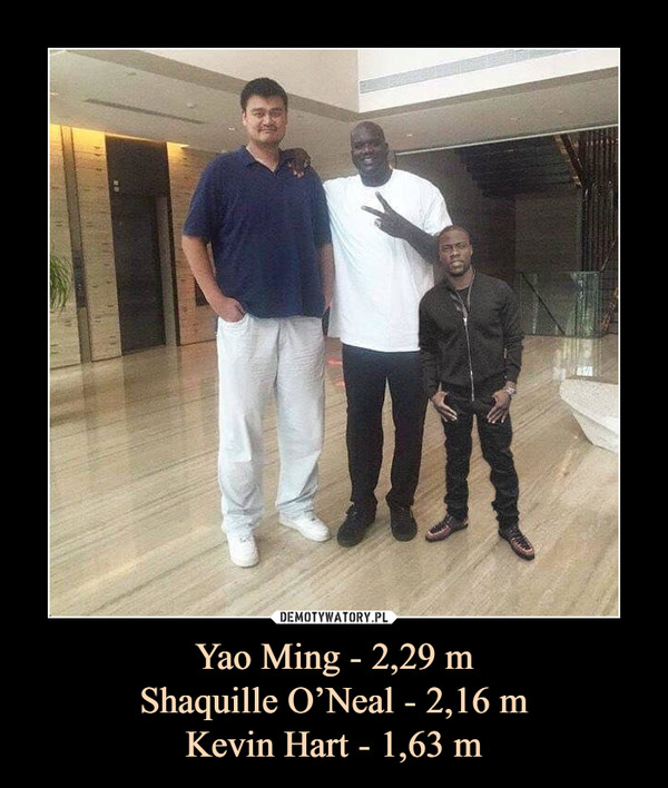Yao Ming - 2,29 m
Shaquille O’Neal - 2,16 m
Kevin Hart - 1,63 m