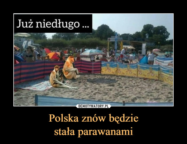 Polska znów będziestała parawanami –  