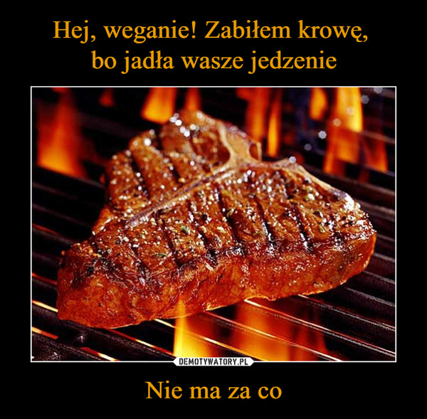 Nie ma za co –  