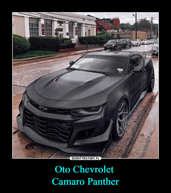Oto Chevrolet Camaro Panther –  