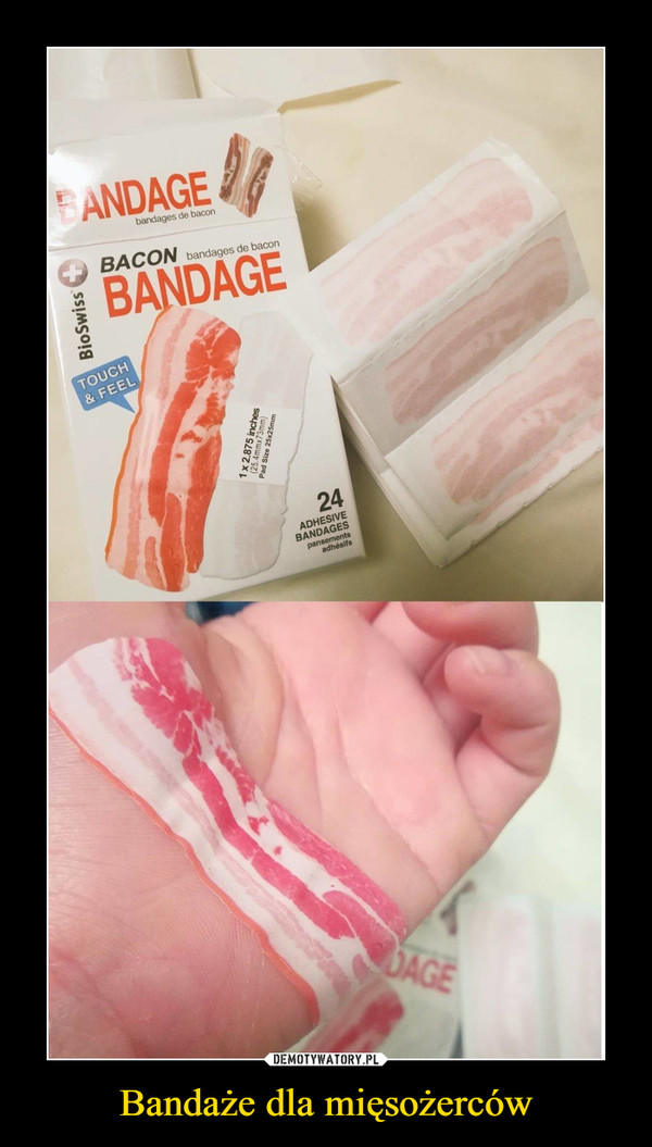 Bandaże dla mięsożerców –  