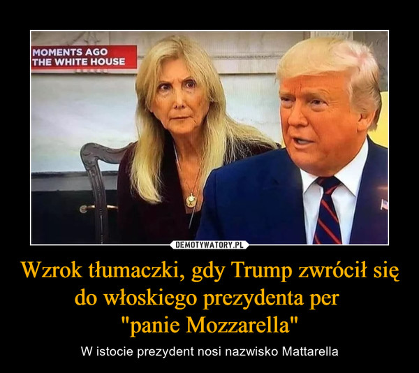 Wzrok tłumaczki, gdy Trump zwrócił się do włoskiego prezydenta per "panie Mozzarella" – W istocie prezydent nosi nazwisko Mattarella 