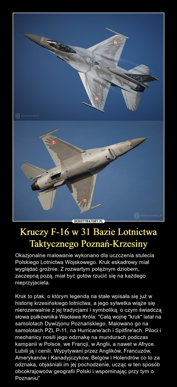 Kruczy F-16 w 31 Bazie Lotnictwa Taktycznego Poznań-Krzesiny – Okazjonalne malowanie wykonano dla uczczenia stulecia Polskiego Lotnictwa Wojskowego. Kruk eskadrowy miał wyglądać groźnie. Z rozwartym potężnym dziobem, zaczepną pozą, miał być gotów rzucić się na każdego nieprzyjaciela.Kruk to ptak, o którym legenda na stałe wpisała się już w historię krzesińskiego lotnictwa, a jego sylwetka wiąże się nierozerwalnie z jej tradycjami i symboliką, o czym świadczą słowa pułkownika Wacława Króla: "Całą wojnę "kruk" latał na samolotach Dywizjonu Poznańskiego. Malowano go na samolotach PZL P-11, na Hurricane'ach i Spitfire'ach. Piloci i mechanicy nosili jego odznakę na mundurach podczas kampanii w Polsce, we Francji, w Anglii, a nawet w Afryce. Lubili ją i cenili. Wypytywani przez Anglików, Francuzów, Amerykanów i Kanadyjczyków, Belgów i Holendrów co to za odznaka, objaśniali im jej pochodzenie, ucząc w ten sposób obcokrajowców geografii Polski i wspominając przy tym o Poznaniu" 