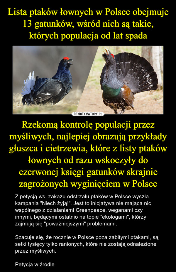Rzekomą kontrolę populacji przez myśliwych, najlepiej obrazują przykłady głuszca i cietrzewia, które z listy ptaków łownych od razu wskoczyły do czerwonej księgi gatunków skrajnie zagrożonych wyginięciem w Polsce – Z petycją ws. zakazu odstrzału ptaków w Polsce wyszła kampania "Niech żyją!". Jest to inicjatywa nie mająca nic wspólnego z działaniami Greenpeace, weganami czy innymi, będącymi ostatnio na topie "ekologami", którzy zajmują się "poważniejszymi" problemami.Szacuje się, że rocznie w Polsce poza zabitymi ptakami, są setki tysięcy tylko ranionych, które nie zostają odnalezione przez myśliwych.Petycja w źródle 