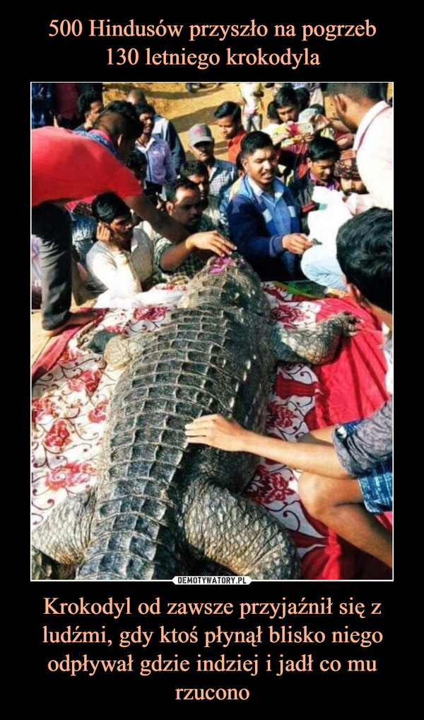 500 Hindusów przyszło na pogrzeb
130 letniego krokodyla Krokodyl od zawsze przyjaźnił się z ludźmi, gdy ktoś płynął blisko niego odpływał gdzie indziej i jadł co mu rzucono