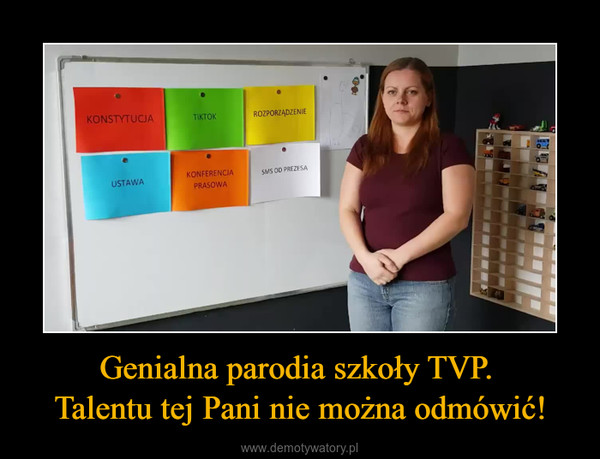 Genialna parodia szkoły TVP. Talentu tej Pani nie można odmówić! –  