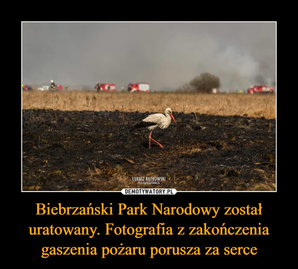 Biebrzański Park Narodowy został uratowany. Fotografia z zakończenia gaszenia pożaru porusza za serce –  