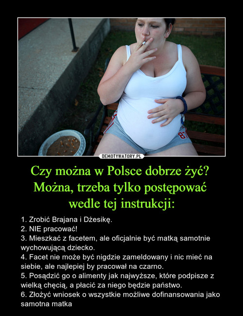 Czy można w Polsce dobrze żyć? 
Można, trzeba tylko postępować 
wedle tej instrukcji: