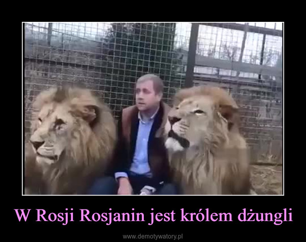 W Rosji Rosjanin jest królem dżungli –  