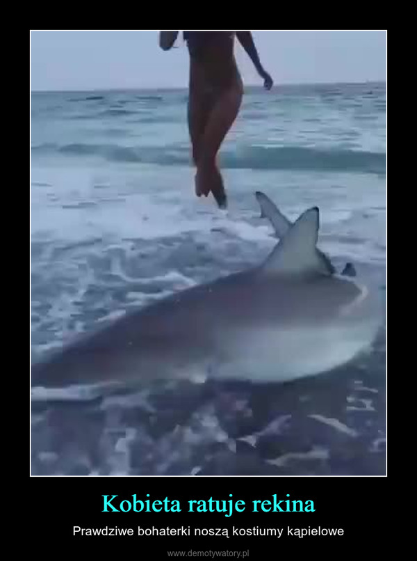 Kobieta ratuje rekina – Prawdziwe bohaterki noszą kostiumy kąpielowe 