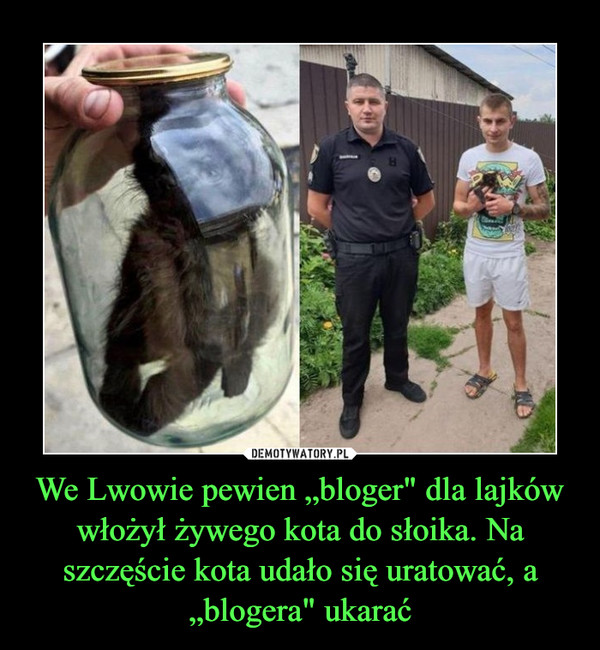 We Lwowie pewien „bloger" dla lajków włożył żywego kota do słoika. Na szczęście kota udało się uratować, a „blogera" ukarać –  