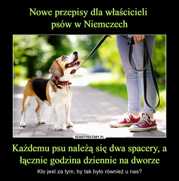 Nowe przepisy dla właścicieli 
psów w Niemczech Każdemu psu należą się dwa spacery, a łącznie godzina dziennie na dworze