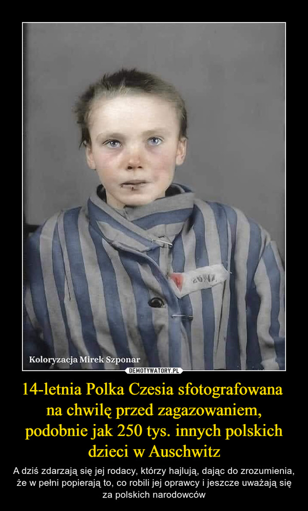 14-letnia Polka Czesia sfotografowana na chwilę przed zagazowaniem, podobnie jak 250 tys. innych polskich dzieci w Auschwitz – A dziś zdarzają się jej rodacy, którzy hajlują, dając do zrozumienia, że w pełni popierają to, co robili jej oprawcy i jeszcze uważają się za polskich narodowców 