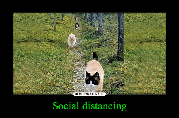 Social distancing –  