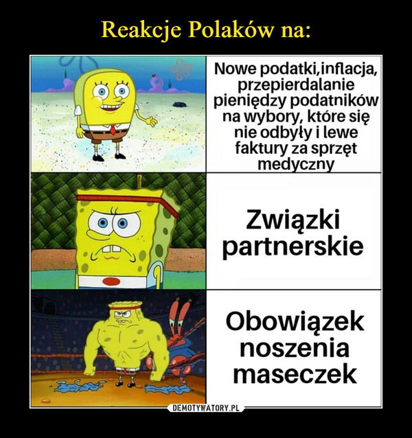 Reakcje Polaków na: